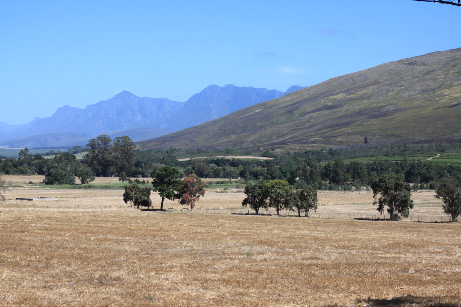 Świadomość zwycięstwa