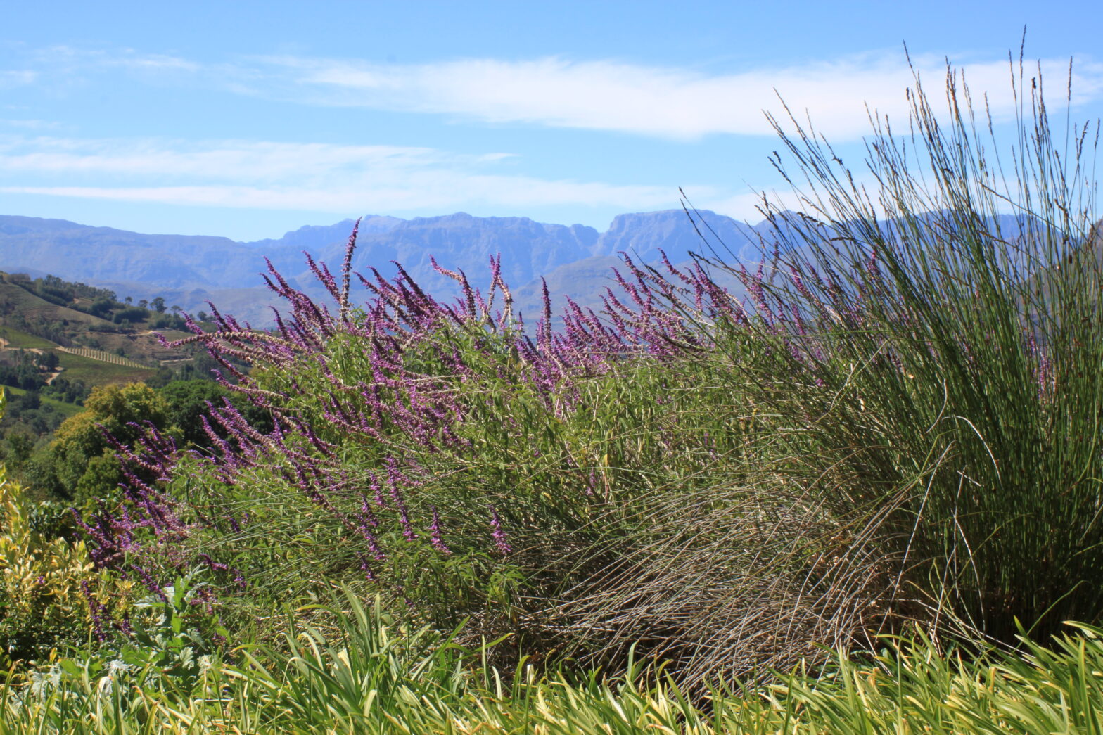 Kultywacja związków partnerskich i miłosnych